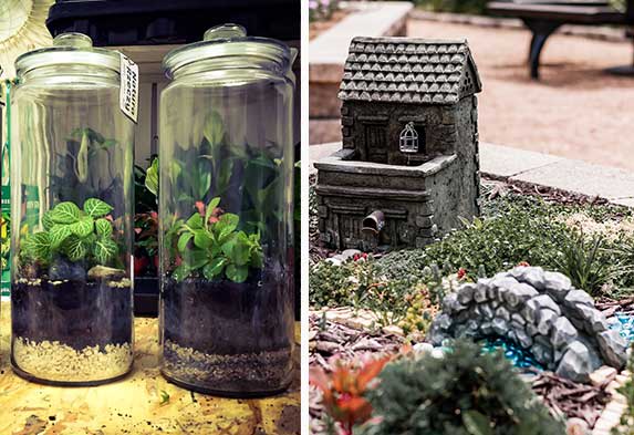 Post ideas para hacer un jardín Terrarios y Jardines en miniatura. Neea Flora